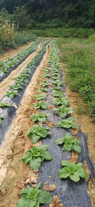 이강재님의 자유주제 · 자유게시판 작성글 사진