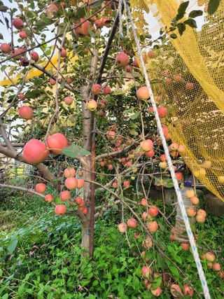 땅땅님의 자유주제 · 자유게시판 작성글 사진