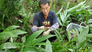 권혜전님의 자유주제 · 자유게시판 작성글 사진