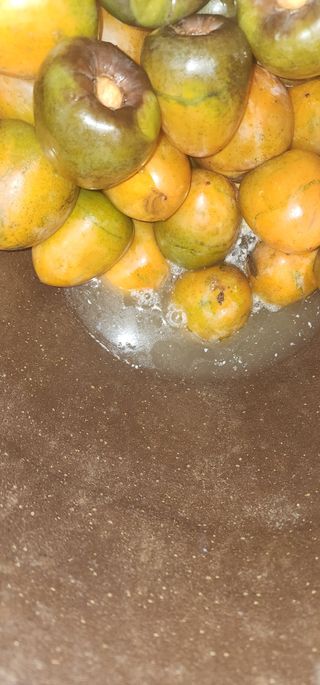 김선례님의 자유주제 · 자유게시판 작성글 사진