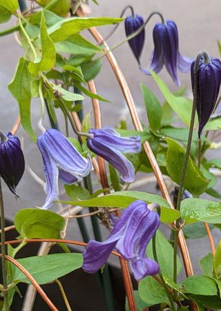 안길원님의 자유주제 · 자유게시판 작성글 사진