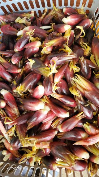 권혜전님의 자유주제 · 자유게시판 작성글 사진