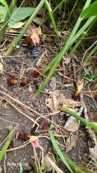 권혜전님의 자유주제 · 자유게시판 작성글 사진