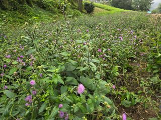 장관덕님의 자유주제 · 사진전 작성글 사진