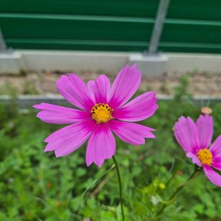 안길원님의 자유주제 · 자유게시판 작성글 사진