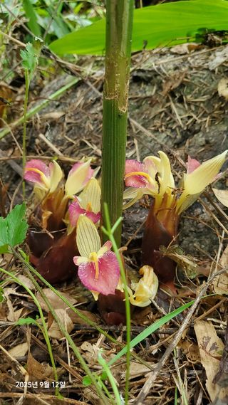권혜전님의 자유주제 · 자유게시판 작성글 사진