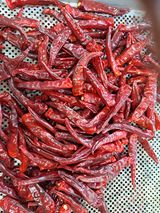 팜모닝 · 게시글 이미지