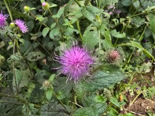 장관덕님의 자유주제 · 사진전 작성글 사진