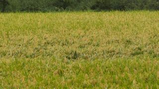 임붕철님의 자유주제 · 자유게시판 작성글 사진