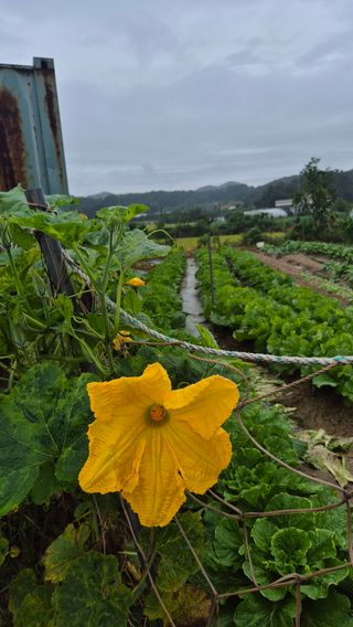 임붕철님의 자유주제 · 자유게시판 작성글 사진