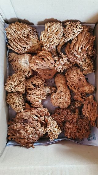 권혜전님의 자유주제 · 자유게시판 작성글 사진