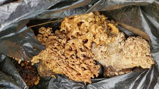 권혜전님의 자유주제 · 자유게시판 작성글 사진