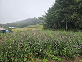 장관덕님의 자유주제 · 사진전 작성글 사진