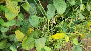 유재형 님의 자유주제 · 자유게시판 작성글 사진