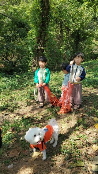 권혜전님의 자유주제 · 자유게시판 작성글 사진