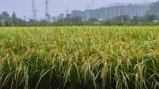 임붕철님의 자유주제 · 자유게시판 작성글 사진