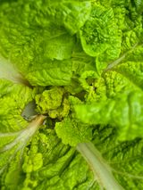 팜모닝 자유주제·자유게시판 게시글 이미지