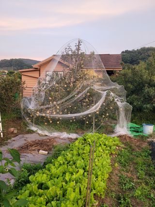 땅땅님의 자유주제 · 자유게시판 작성글 사진