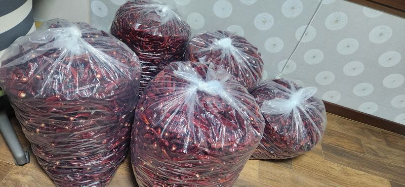 박경미님의 장터 판매 상품 [청양고추가루 600그람한근] 첨부 사진