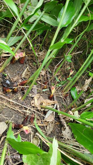 권혜전님의 자유주제 · 자유게시판 작성글 사진