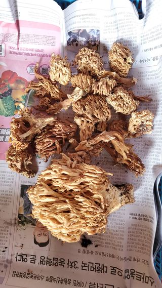 권혜전님의 자유주제 · 자유게시판 작성글 사진