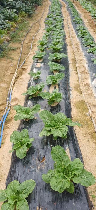 이강재님의 자유주제 · 자유게시판 작성글 사진