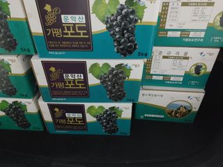 운악산포도님의 자유주제 · 자유게시판 작성글 사진