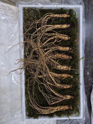 스마일님의 작성글 사진