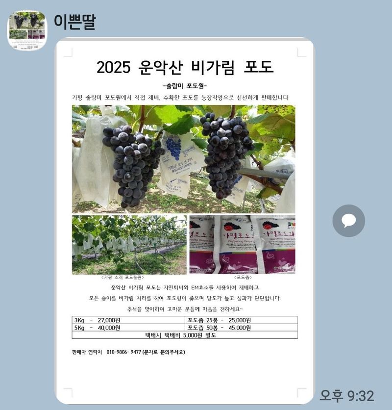 운악산포도님의 장터 판매 상품 [포도 캠벨] 첨부 사진