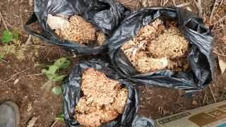 권혜전님의 자유주제 · 자유게시판 작성글 사진