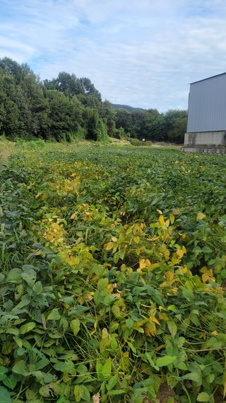 유재형 님의 자유주제 · 자유게시판 작성글 사진