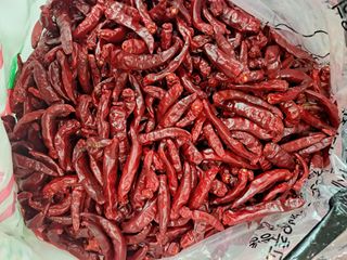 박수정님의 작성글 사진