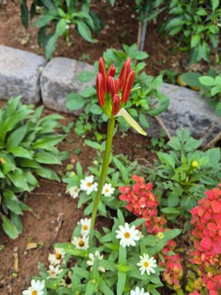 안길원님의 자유주제 · 자유게시판 작성글 사진