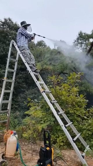 아침농원님의 자유주제 · 자유게시판 작성글 사진
