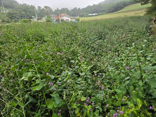 장관덕님의 자유주제 · 사진전 작성글 사진