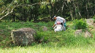 권혜전님의 자유주제 · 자유게시판 작성글 사진