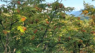 권혜전님의 자유주제 · 자유게시판 작성글 사진