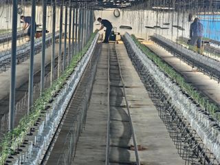 김민식 님의 작성글 사진