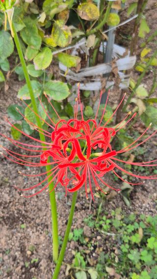 임붕철님의 자유주제 · 자유게시판 작성글 사진