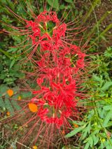 팜모닝 자유주제·자유게시판 게시글 이미지