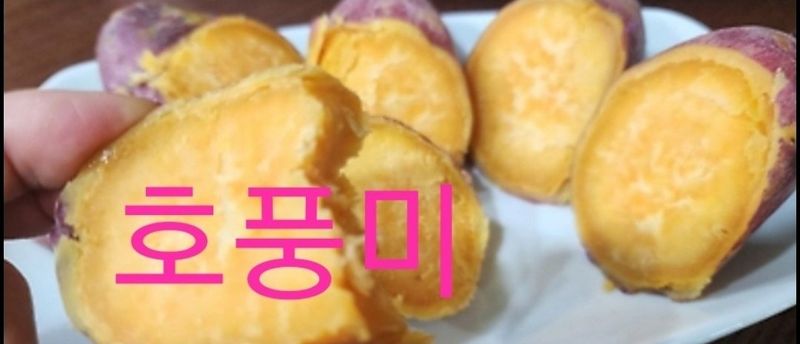 사랑꽃농장님의 장터 판매 상품 [  햇 속 노란 꿀 고구마 판매10kg35.000] 첨부 사진