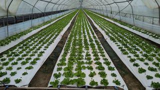 김형진님의 자유주제 · 사진전 작성글 사진