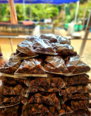 조한규(김효정)님의 작성글 사진