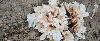 박민자 님의 자유주제 · 자유게시판 작성글 사진