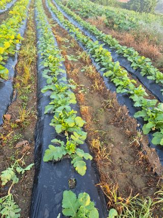 이정민님의 자유주제 · 자유게시판 작성글 사진
