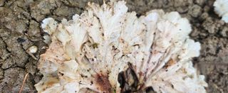 박민자 님의 자유주제 · 자유게시판 작성글 사진