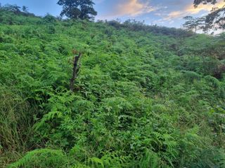 경남하동이주랑님의 자유주제 · 사진전 작성글 사진