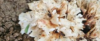 박민자 님의 자유주제 · 자유게시판 작성글 사진