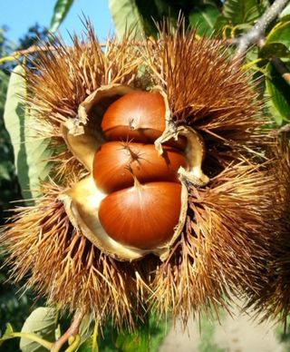 김윤기님의 자유주제 · 자유게시판 작성글 사진