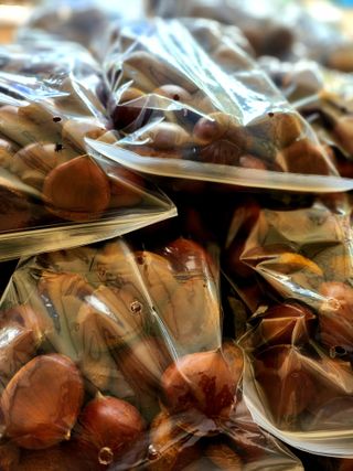 조한규(김효정)님의 작성글 사진